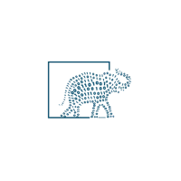 BETS Distributor SFA